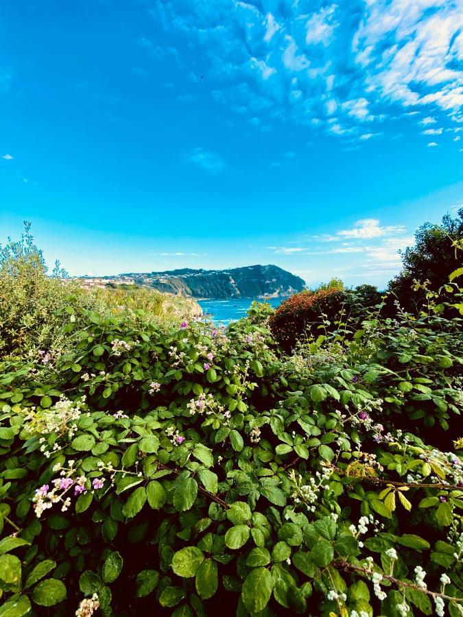 La Fortezza Forio di Ischia Dış mekan fotoğraf
